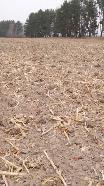 Vídeo vertical de un campo con tierra arada en otoño, cámara lenta — Vídeo de stock