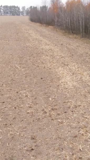 Vídeo vertical de un campo con tierra arada en otoño, cámara lenta — Vídeos de Stock