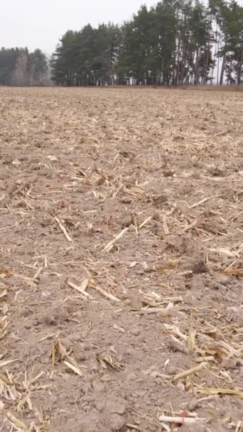 Vídeo vertical de un campo con tierra arada en otoño, cámara lenta — Vídeos de Stock