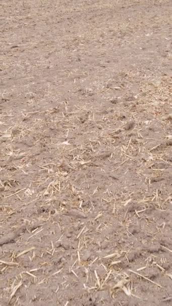 Függőleges videó egy mező szántott föld ősszel, lassított felvétel — Stock videók