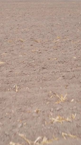 Vidéo verticale d'un champ labouré en automne, ralenti — Video