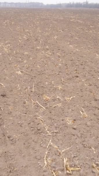 Vídeo vertical de un campo con tierra arada en otoño, cámara lenta — Vídeo de stock