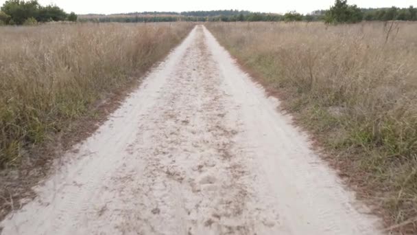 Gün boyunca tarlada boş yol — Stok video