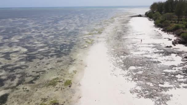 Zanzibar 'da dalgalar alçaldığında sahilde yürüyen kız, ağır çekim. — Stok video