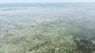 Adam Tanzanya, Zanzibar 'da dalgalar alçalınca sahilde yürüyor.