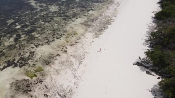 Mulher solitária andando na praia na maré baixa maré baixa em Zanzibar, câmera lenta — Vídeo de Stock