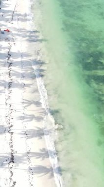 Tanzanya 'nın Zanzibar kıyısındaki okyanusta dikey video tekneleri