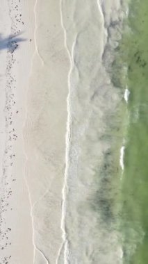 Tanzanya 'nın Zanzibar kıyısındaki okyanusta dikey video tekneleri