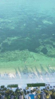 Tanzanya 'nın Zanzibar kıyısındaki okyanusta dikey video tekneleri