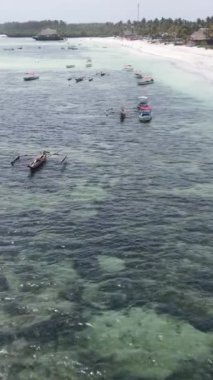 Tanzanya 'nın Zanzibar kıyısındaki okyanusta dikey video tekneleri