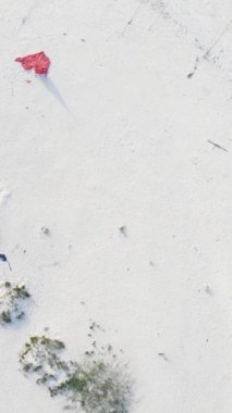 Tanzanya 'nın Zanzibar kıyısındaki okyanusta dikey video tekneleri