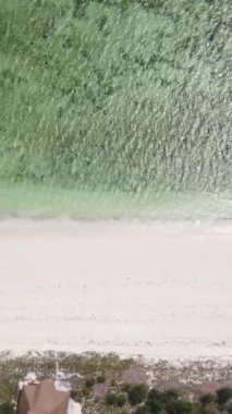 Tanzanya 'nın Zanzibar kıyısındaki okyanusta dikey video tekneleri