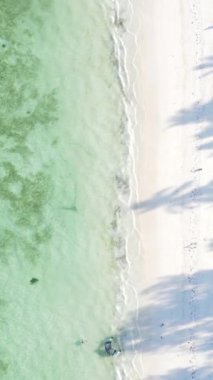 Tanzanya 'nın Zanzibar kıyısındaki okyanusta dikey video tekneleri