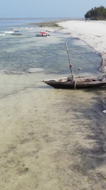 Bateaux vidéo verticaux dans l'océan près de la côte de Zanzibar, Tanzanie — Video