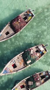 Tanzanya 'nın Zanzibar kıyısındaki okyanusta dikey video tekneleri