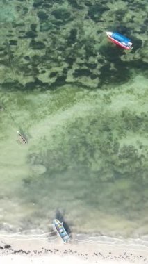 Tanzanya 'nın Zanzibar kıyısındaki okyanusta dikey video tekneleri