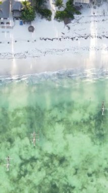 Tanzanya 'nın Zanzibar adasındaki plajın dikey videosu