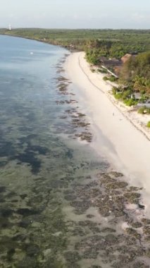 Tanzanya 'nın Zanzibar adasındaki plajın dikey videosu