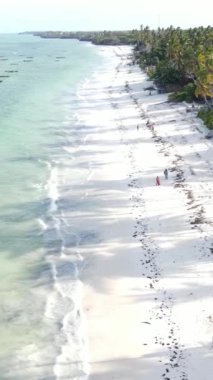 Tanzanya 'nın Zanzibar adasındaki plajın dikey videosu