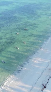 Tanzanya 'nın Zanzibar adasındaki plajın dikey videosu