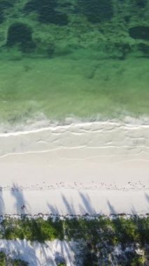 Tanzanya 'nın Zanzibar adasındaki plajın dikey videosu