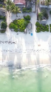 Tanzanya 'nın Zanzibar adasındaki plajın dikey videosu