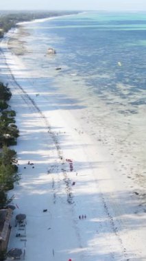 Tanzanya 'nın Zanzibar kıyısındaki okyanusun dikey videosu