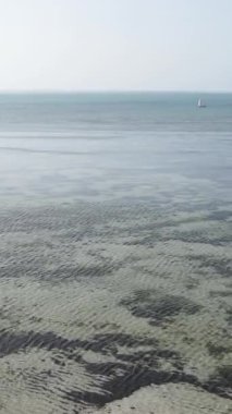Tanzanya 'nın Zanzibar kıyısındaki okyanusun dikey videosu