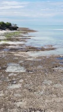 Tanzanya 'nın Zanzibar kıyısındaki okyanusun dikey videosu