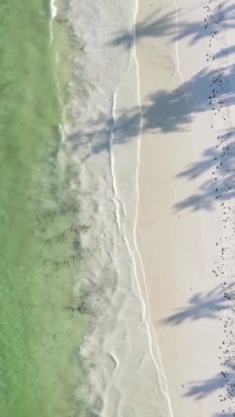 Bateaux vidéo verticaux dans l'océan près de la côte de Zanzibar, Tanzanie — Video