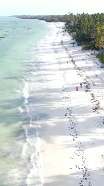 Függőleges videó a strandról Zanzibár szigetén, Tanzánia — Stock videók