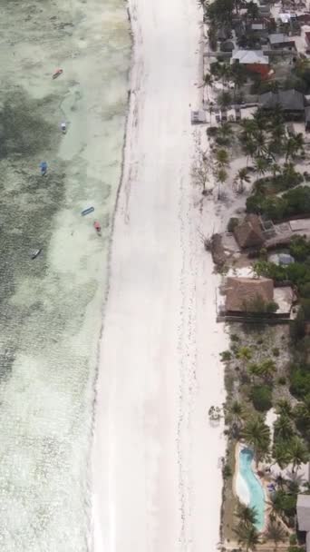 Vertikal video från stranden på ön Zanzibar, Tanzania — Stockvideo