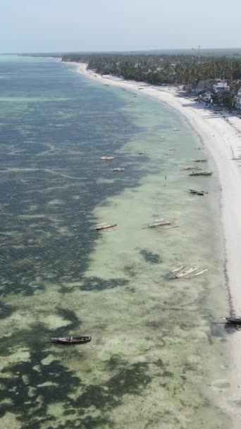 Video verticale dell'oceano vicino alla costa di Zanzibar, Tanzania — Video Stock