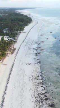 Tanzanya 'nın Zanzibar kıyısındaki okyanusun dikey videosu