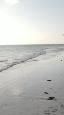 Tanzanya 'nın Zanzibar kıyısındaki okyanusun dikey videosu