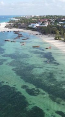 Tanzanya 'nın Zanzibar kıyısındaki okyanusun dikey videosu