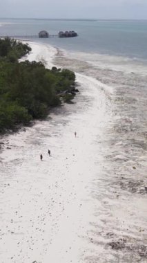 Tanzanya 'nın Zanzibar kıyısındaki okyanusun dikey videosu
