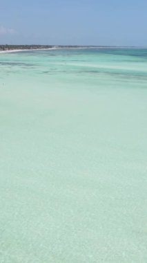 Tanzanya 'nın Zanzibar kıyısındaki okyanusun dikey videosu