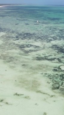 Tanzanya 'nın Zanzibar kıyısındaki okyanusun dikey videosu