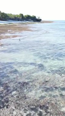 Tanzanya 'nın Zanzibar kıyısındaki okyanusun dikey videosu