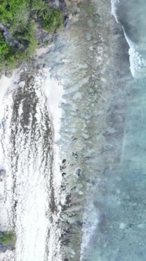 Tanzanya 'nın Zanzibar kıyısındaki okyanusun dikey videosu