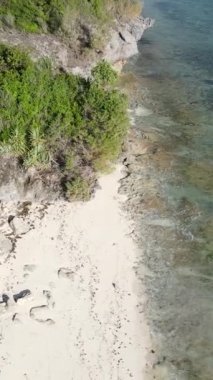 Tanzanya 'nın Zanzibar kıyısındaki okyanusun dikey videosu
