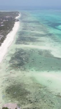 Tanzanya 'nın Zanzibar kıyısındaki okyanusun dikey videosu