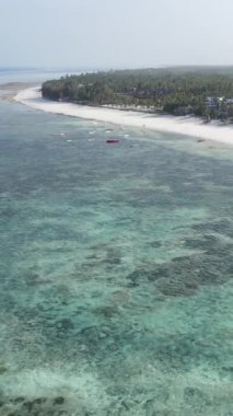 Tanzanya 'nın Zanzibar kıyısındaki okyanusun dikey videosu