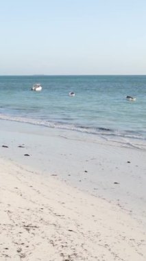 Tanzanya 'nın Zanzibar kıyısındaki okyanusun dikey videosu