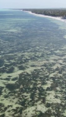 Tanzanya 'nın Zanzibar kıyısındaki okyanusun dikey videosu