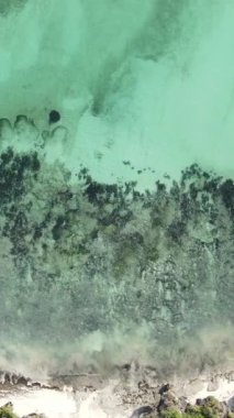 Tanzanya 'nın Zanzibar kıyısındaki okyanusun dikey videosu