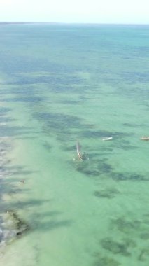 Tanzanya 'nın Zanzibar kıyısındaki okyanusun dikey videosu