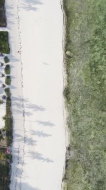 Tanzanya 'nın Zanzibar kıyısındaki okyanusun dikey videosu