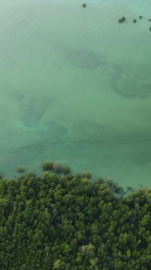 Tanzanya 'nın Zanzibar kıyısındaki okyanusun dikey videosu